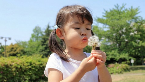 「あらゆる層に提案できる、副作用のない安全性」イメージ画像